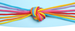 Shoelaces of different colors tied in a nice knot