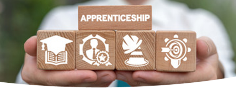 Educator apprenticeship graphic