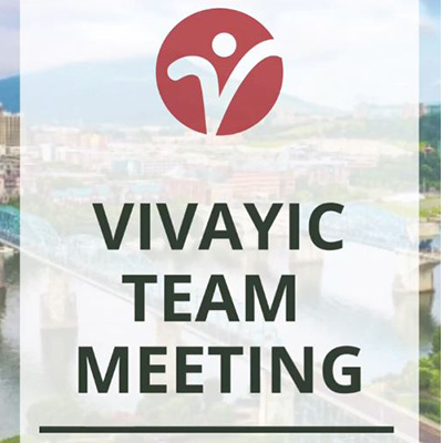 Vivayic Team Meeting